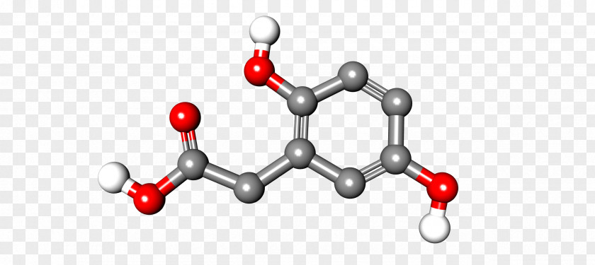 Malonic Ester Synthesis Homogentisic Acid Chinese Wikipedia Encyclopedia PNG