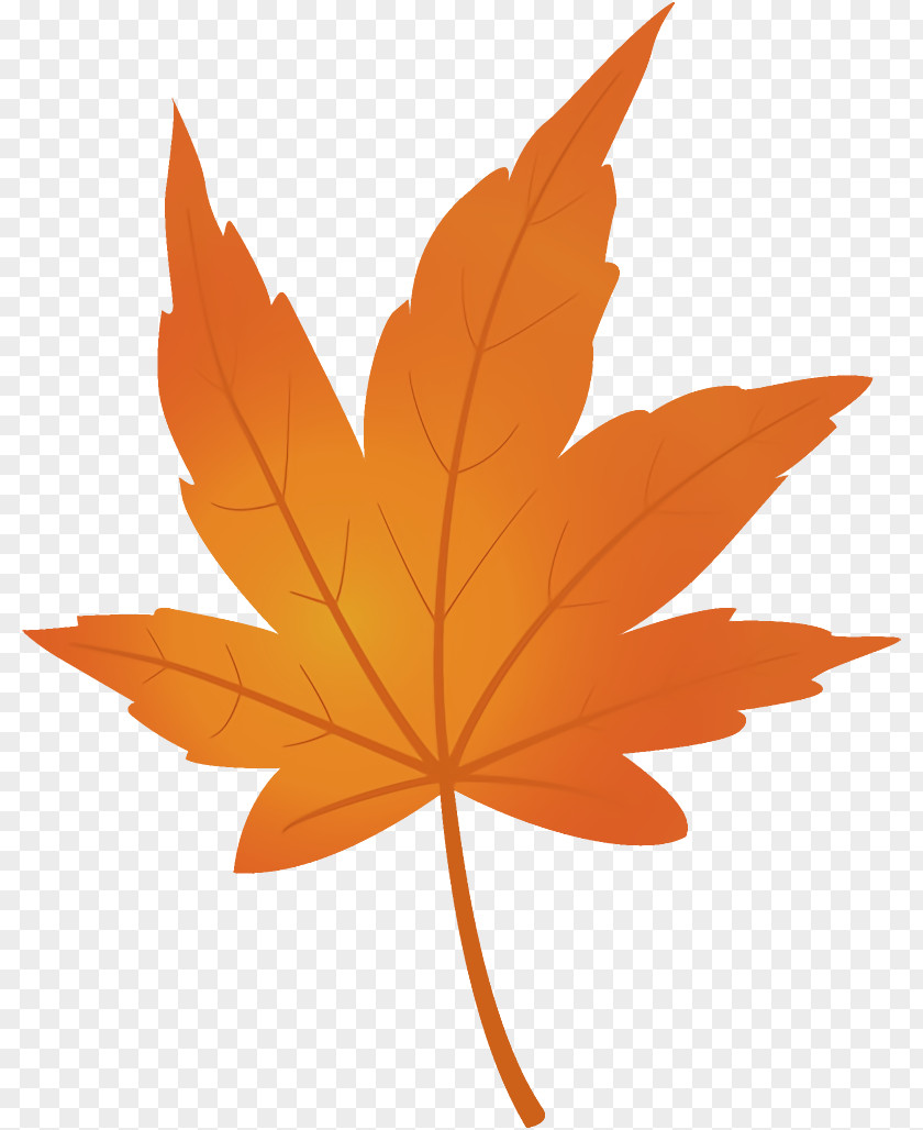 Maple Black Leaf Autumn Yellow PNG
