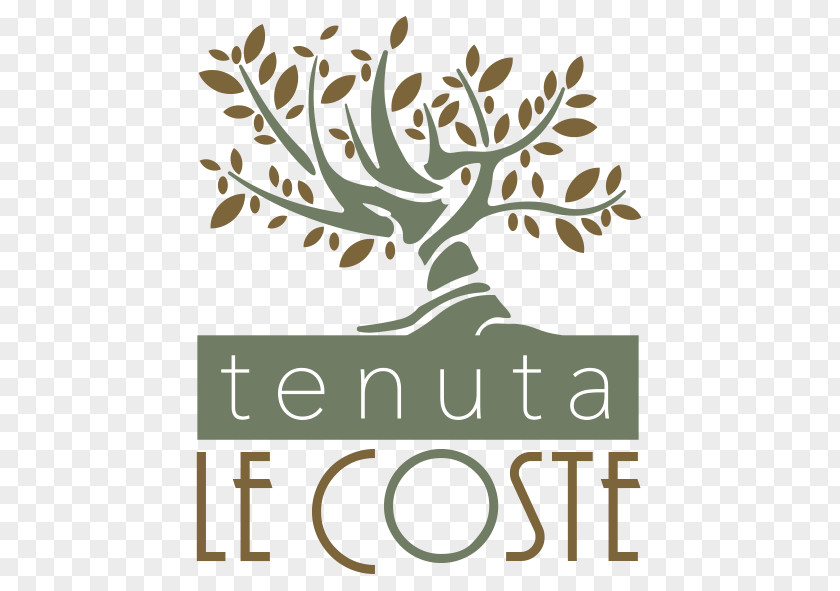 Umbro Logo Tenuta Le Coste S.R.L. Aix-en-Provence Amazon.com Amazon Alexa Olive PNG