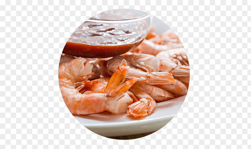 Crop Circle Caridea Shrimp Scampi Seafood Boil PNG