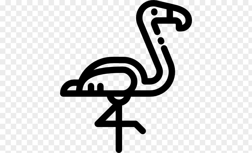 Flamingos Vector Animal Symbol Wildlife Clip Art PNG