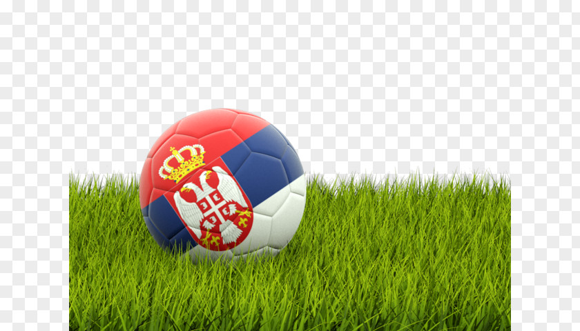 Football FIFA World Cup Serbia National Team American Sport PNG