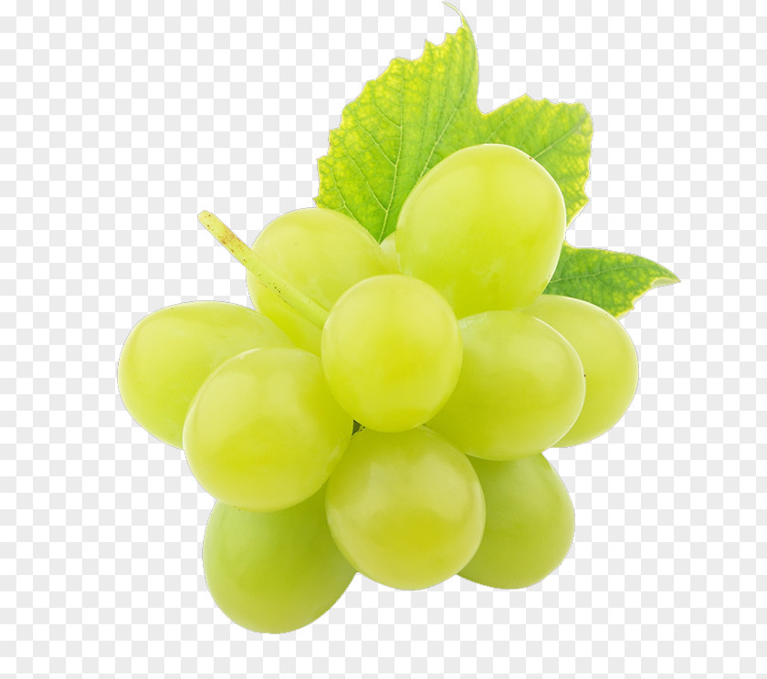 Grape Seedless Fruit Grapevine Family Green PNG