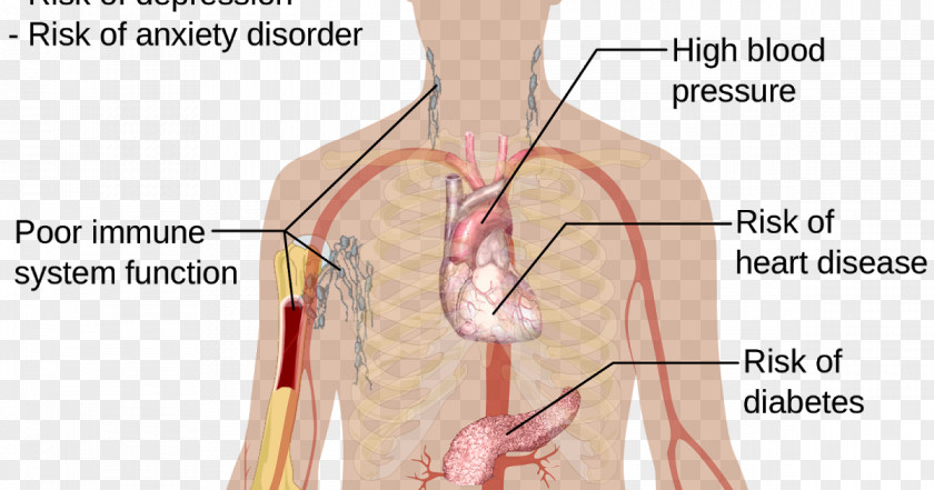 Health Insomnia Therapy Sleep Acupuncture Medicine PNG