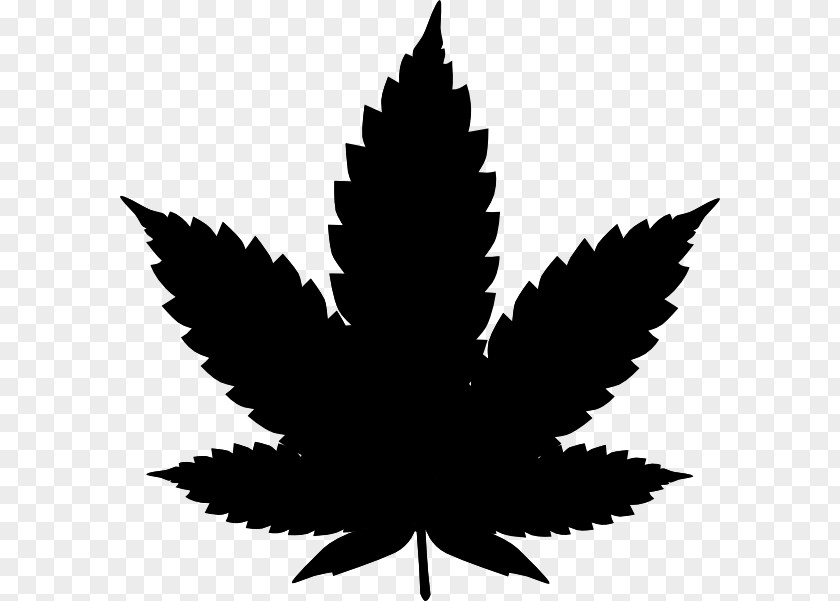 Hemp Leaves Cannabis Smoking Medical Clip Art PNG