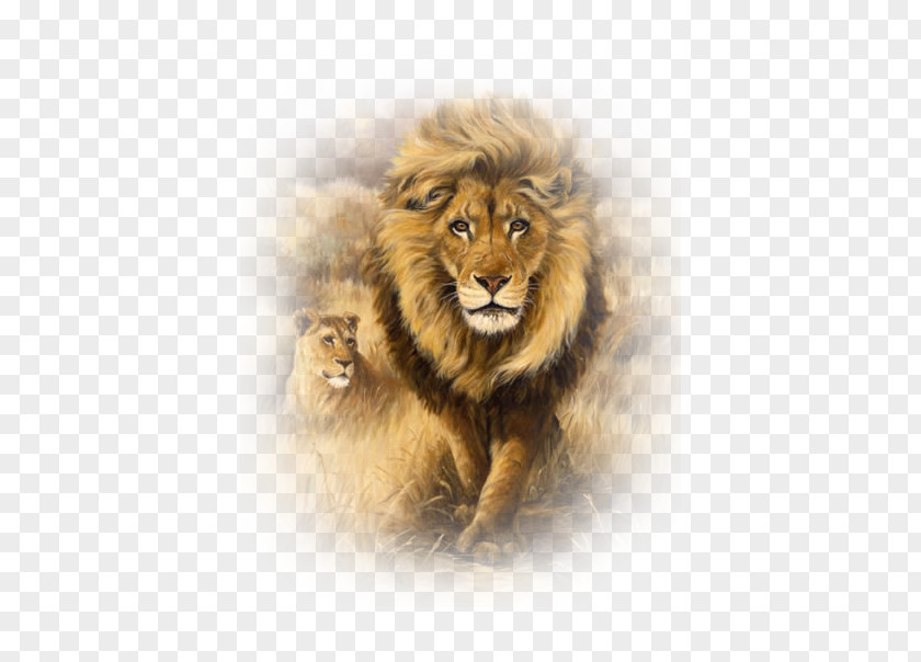 Lion Art Embroidery Painting Drawing PNG