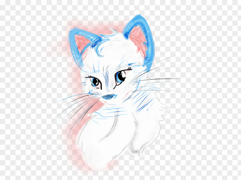 WOO Whiskers Domestic Short-haired Cat Illustration Sketch PNG