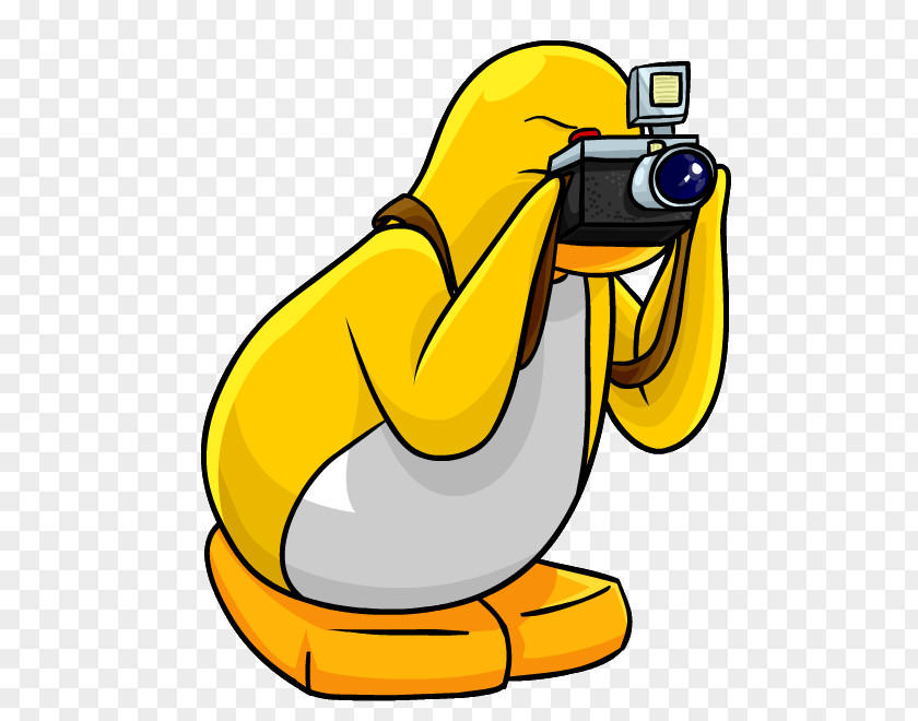 Club Penguins Penguin Clip Art Photographer PNG