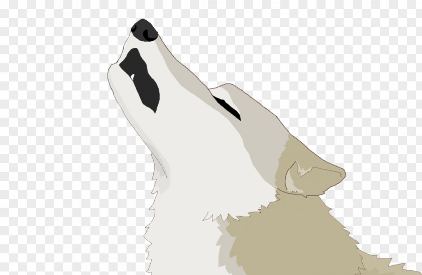 Dog Bear Shoe Snout Beak PNG