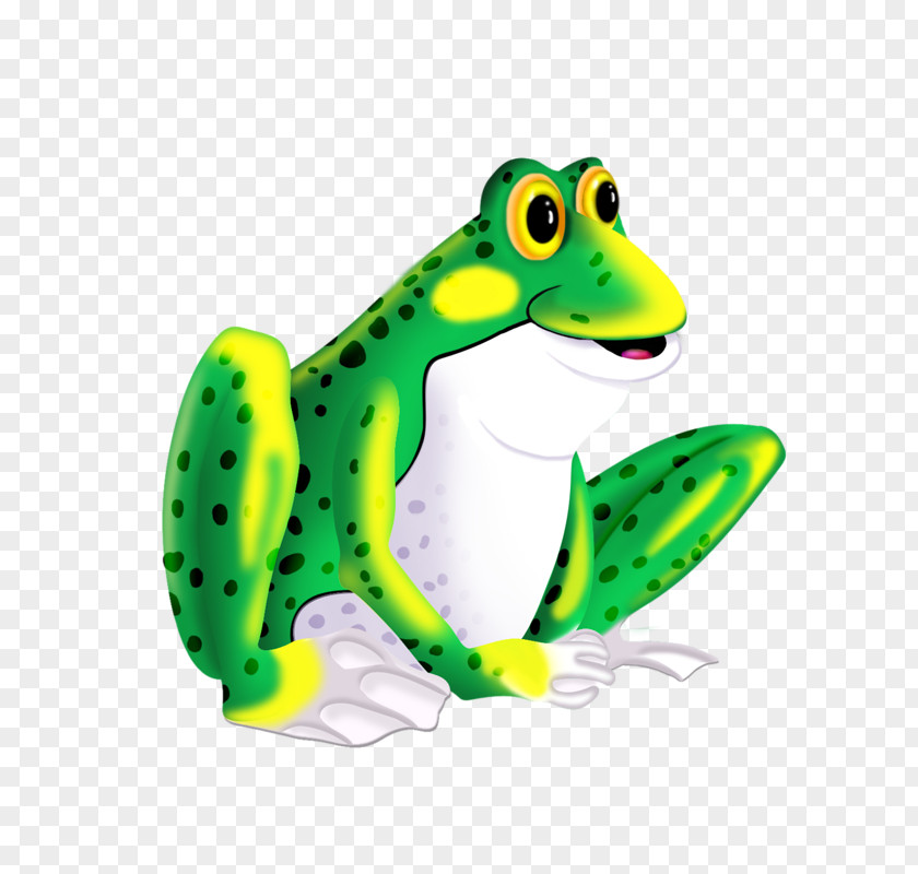 Frog Toad Pool Edible Clip Art PNG