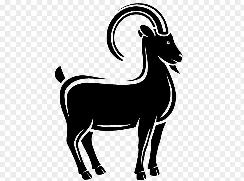 Goat Boer Sheep Caprinae PNG