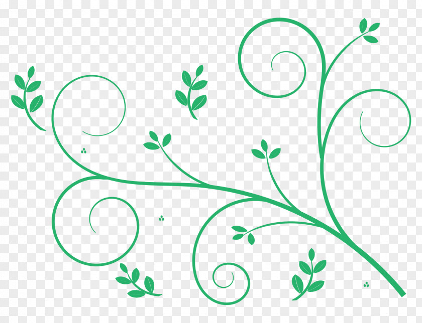 Leaf Swirl Floral Design Art Clip PNG