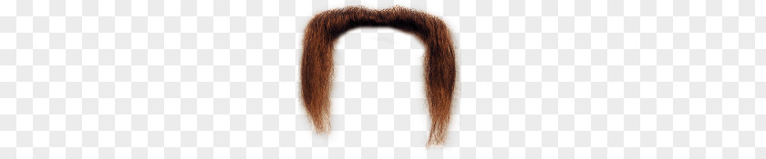 Mustache Long PNG Long, brown hair clipart PNG