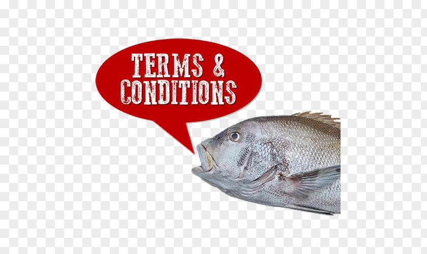 Terms And Conditions Of Service Money Industry PNG