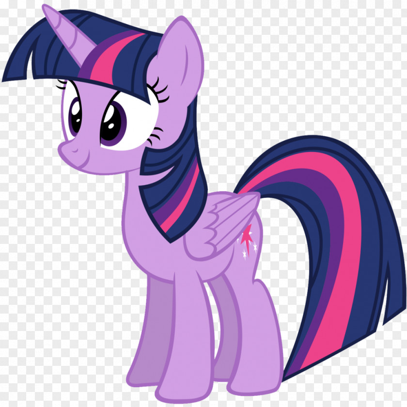 Twilight Sparkle Pinkie Pie Rarity Rainbow Dash Pony PNG
