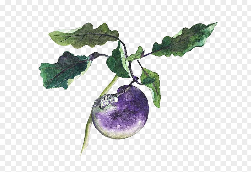 Creative Hand-painted Small Eggplant Google Images Download Icon PNG