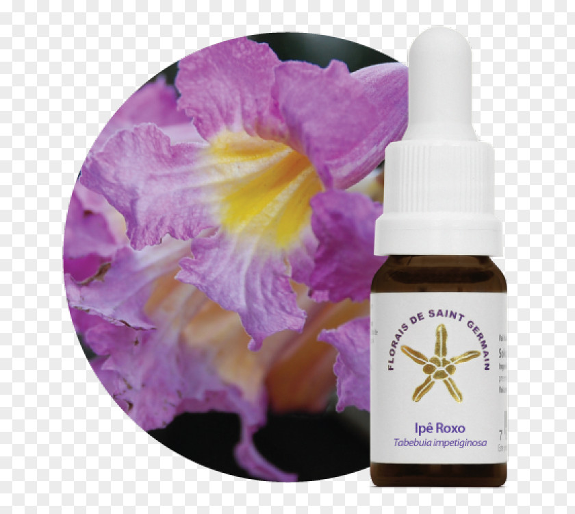 ROXO The Bach Flower Remedies Therapy Homeopathy Tabebuia Rosea PNG