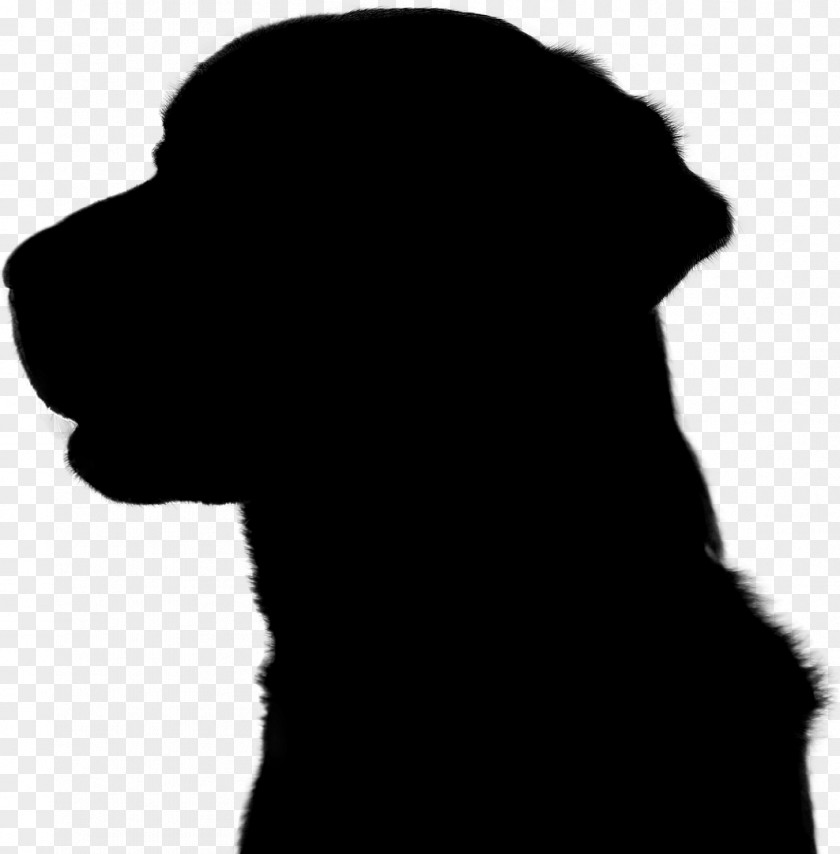 Dog Breed Puppy Snout Silhouette PNG