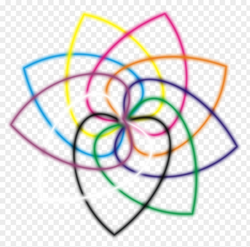 Flower Illustrations Rainbow Color Image Painting PNG