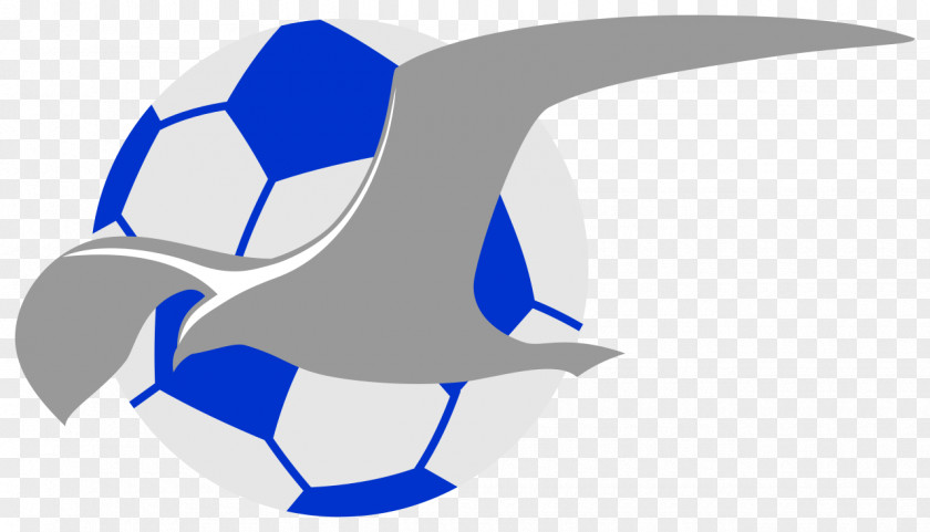 Football FK Haugesund Sandefjord Fotball 2017 Eliteserien Coleraine F.C. PNG