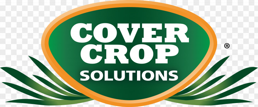 Radish Speare Seeds Cover Crop Farm Seed Company PNG