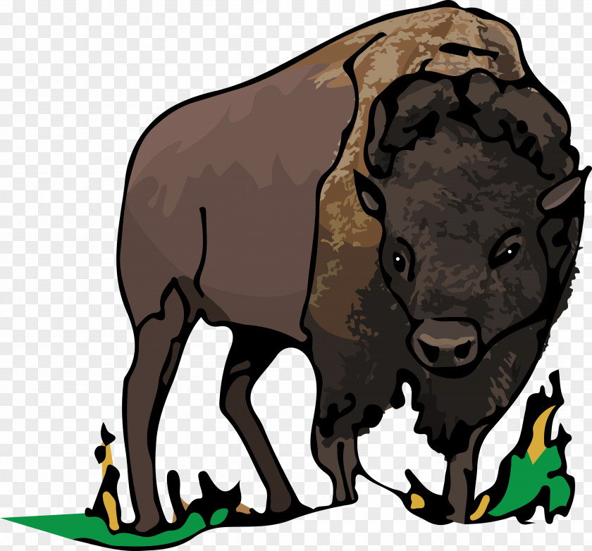 Bison Bull Bear Cattle Clip Art PNG