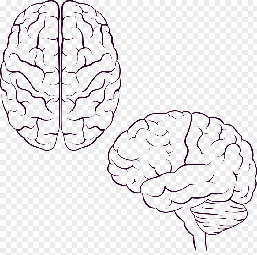 Hand-painted Brains Brain Icon Design PNG