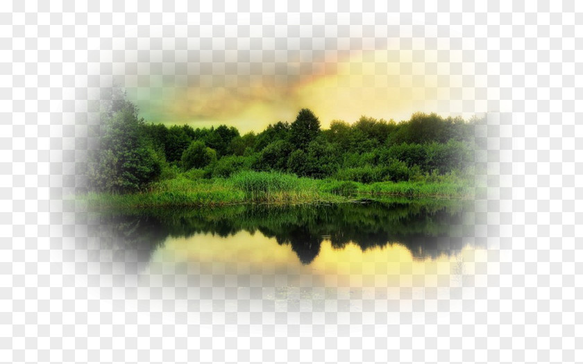Photographer Landscape Painting Photography Summer PNG