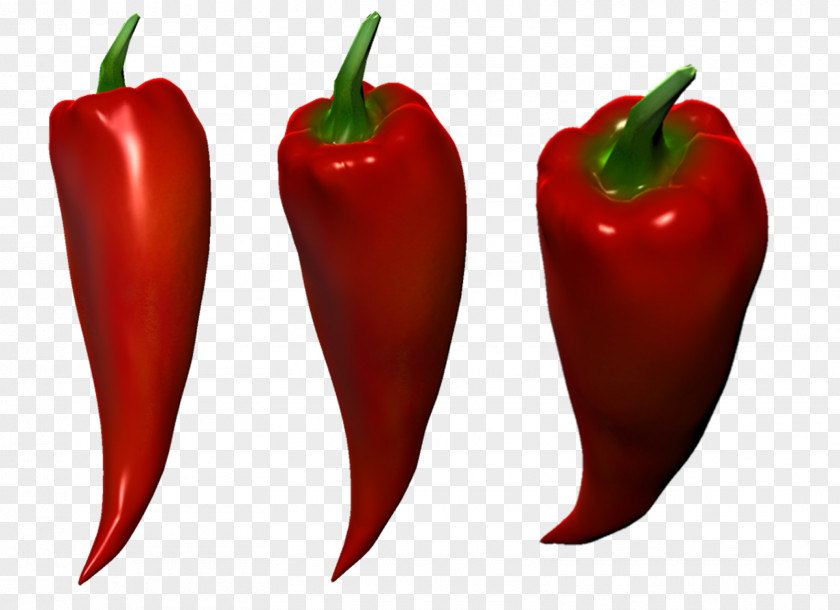Alan Infographic Habanero University For The Creative Arts, Rochester Campus Bird's Eye Chili Bell Pepper Tabasco PNG