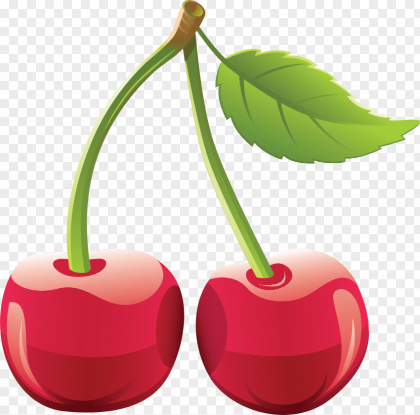 Cherry Clip Art Openclipart Vector Graphics Image PNG
