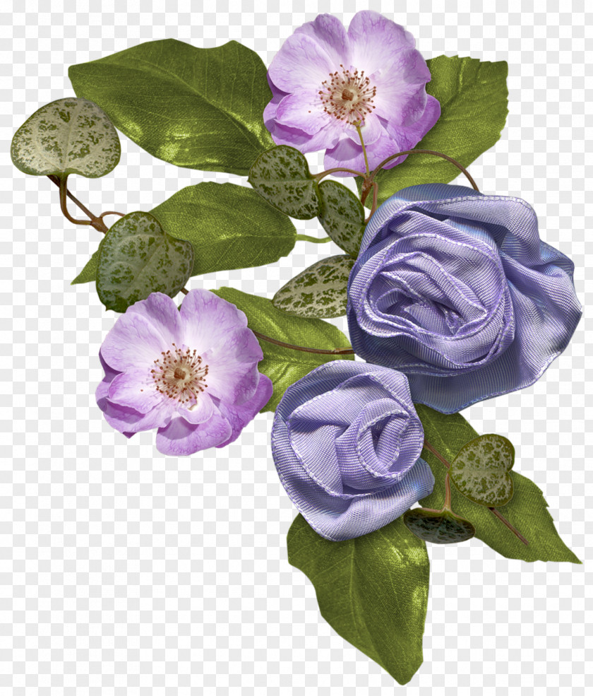 Floral Photography Clip Art PNG
