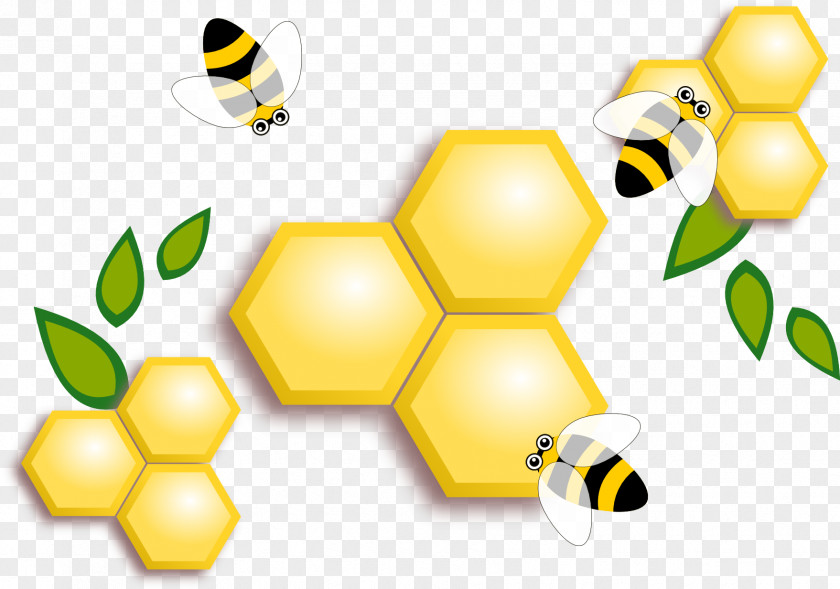 Honey Hatta Dubai Bee PNG