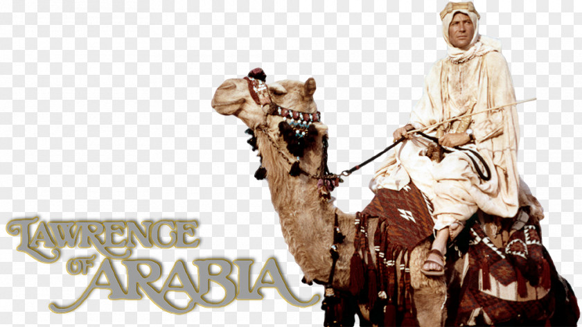 Lawrence Of Arabia Dromedary 0 Film Television PNG