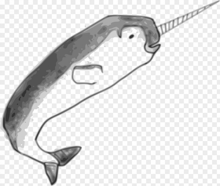 Narwhal Toothed Whale Drawing Clip Art PNG