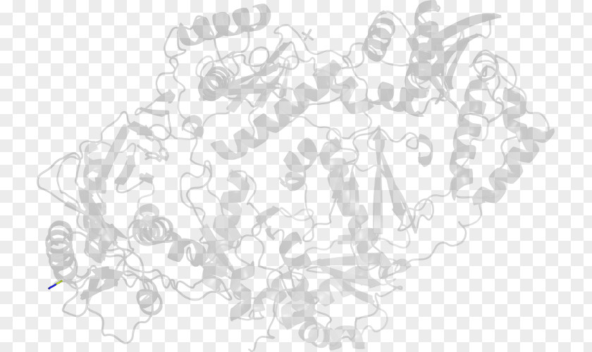 Reverse Transcriptase Line Art Sketch PNG