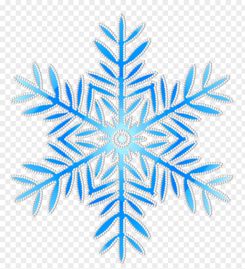 Snowflake Paper United States PNG