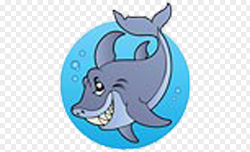 Aquatic Animal Clip Art PNG