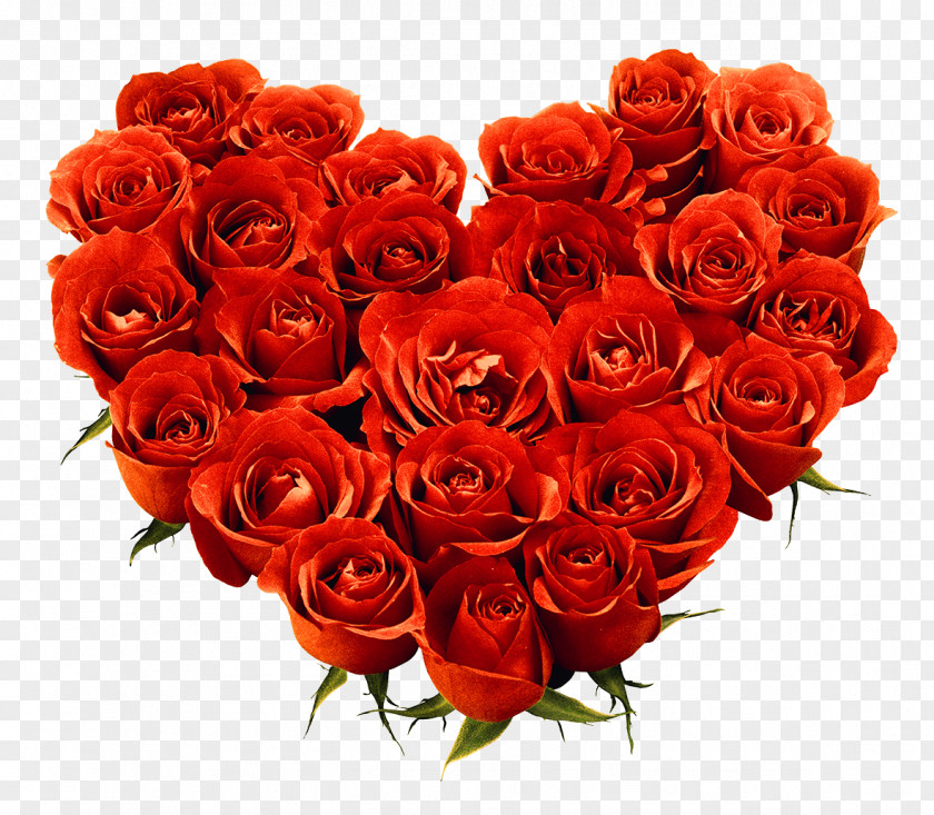 Bouquet Of Roses Image Picture Download Rose Flower Delivery Wallpaper PNG