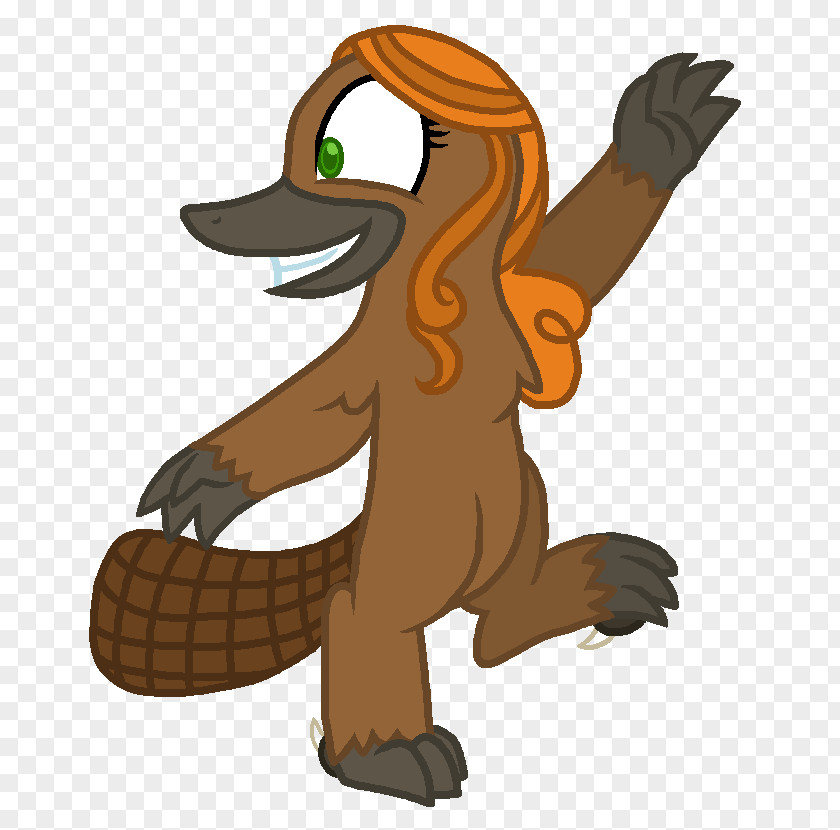 Cute Pictures Of Platypuses Perry The Platypus Canidae Beaver Clip Art PNG