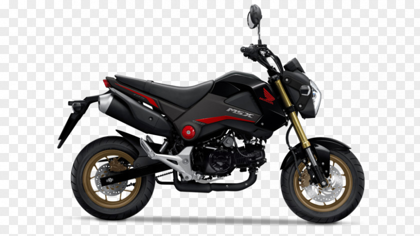 Honda Grom Fuel Injection Scooter Motorcycle PNG