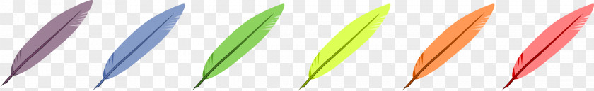 Parrot Bird Feather Clip Art PNG