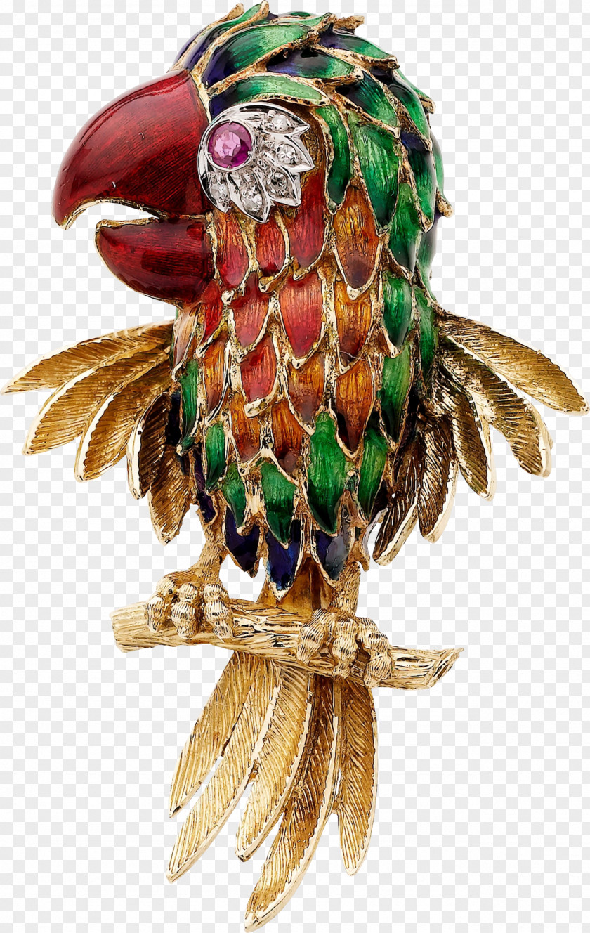 Parrot Brooch Ruby Jewellery Clip Art PNG