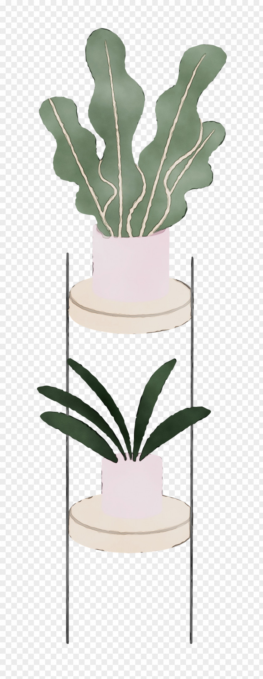 Plant Stem Leaf Flowerpot Flower PNG
