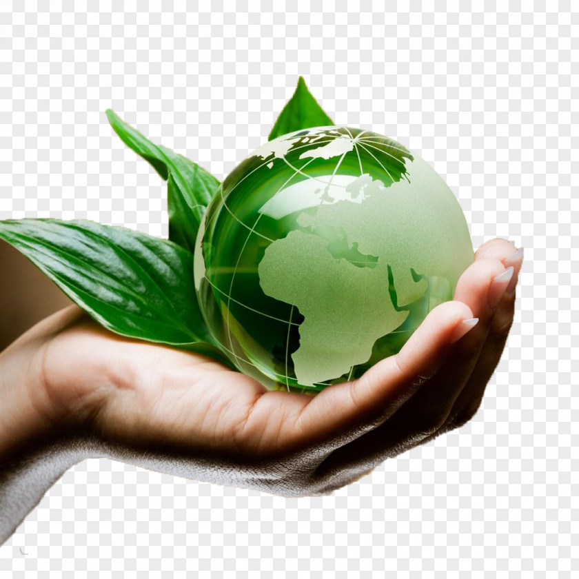Small Green Planet Laudato Si Ecology PrimeEnergy Cleantech SA Website Lent PNG