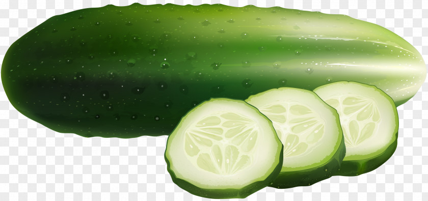 Cool Cucumber Slices Euclidean Vector Food Illustration PNG