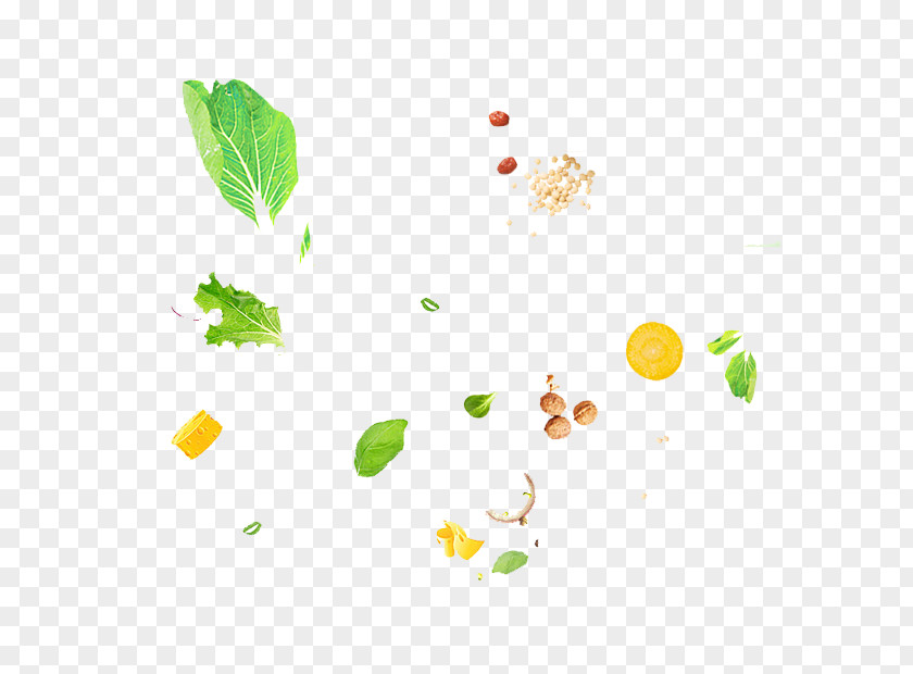 Floating Fruit And Vegetable Material Food PNG