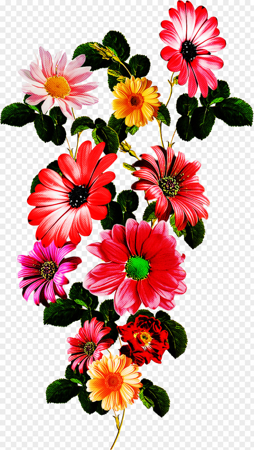 Floral Design PNG