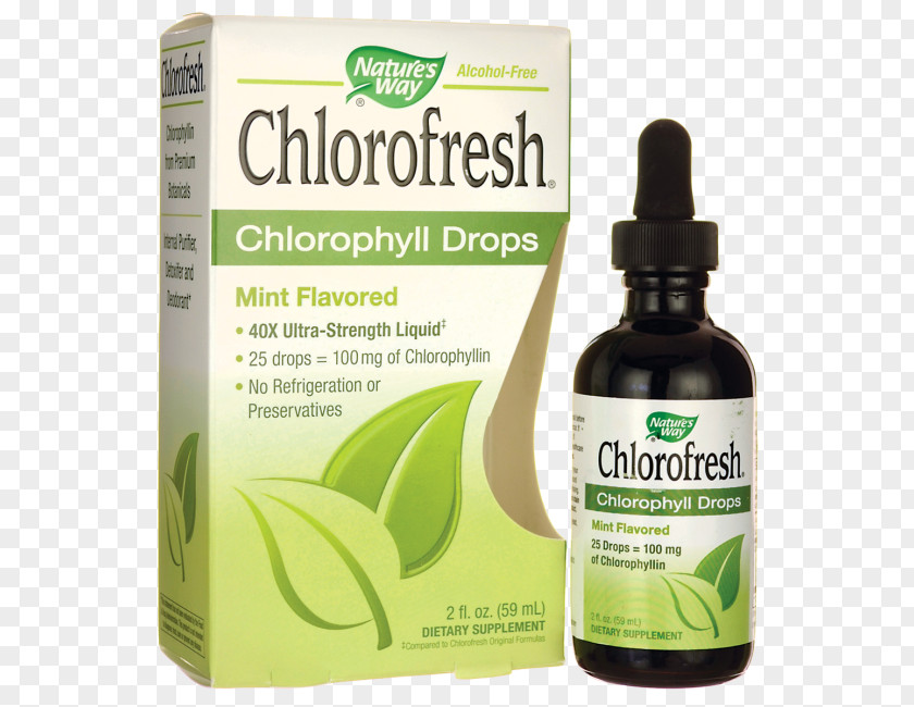 Juice Drop Nature Chlorophyll Mint Plants Herbalism PNG
