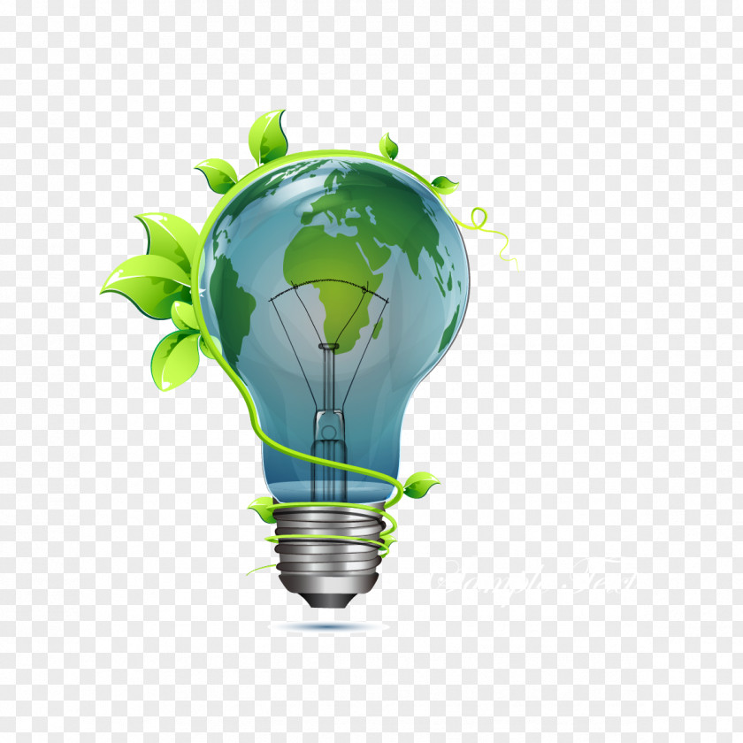 Vector Leaves And Bulbs Harry Co. Energy Conservation ITM Lucknow Solar PNG