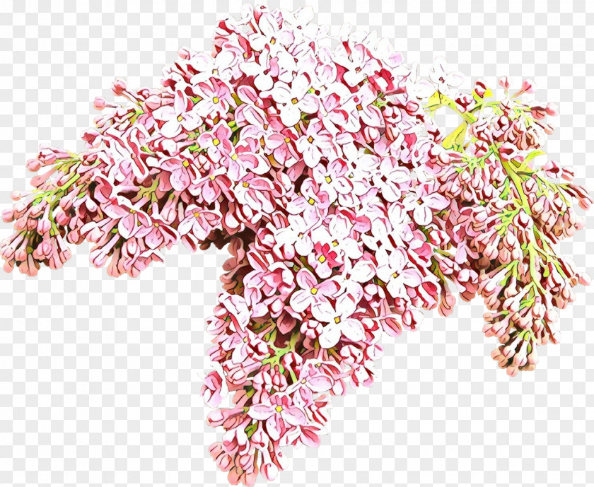 Blossom Cut Flowers Pink Flower Plant PNG